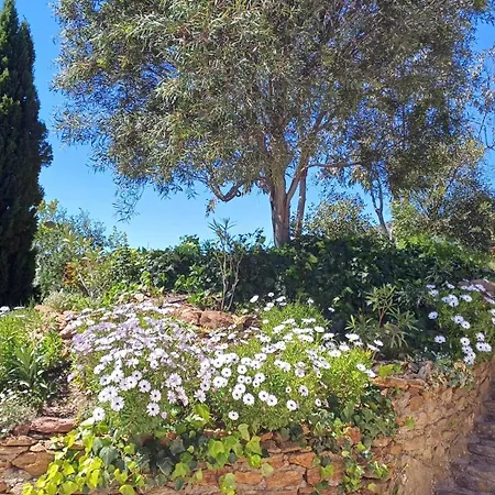 Maison Vue Exceptionnelle Casa vacanze Le Lavandou
